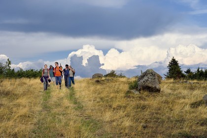 France, Cantal (15), Parc Naturel Régional des Volcans d'Auvergne, plateau de Chastel-sur-Murat, randonneurs sur le chemin de Saint-Jacques de Compostelle par la Via Arverna