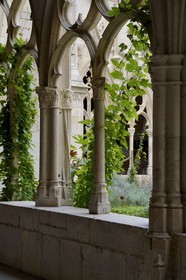 France, Meurthe-et-Moselle, Toul, cloister of the collegiate church of Saint-Gengoult