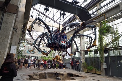 France, Loire-Atlantique, Nantes, gallery of the Machines de l'Ile in the hangars of former shipyards, an artistic project created by François Delaroziere and Pierre Orefice, a Mechanical Spider crawls from the ground to a high branch