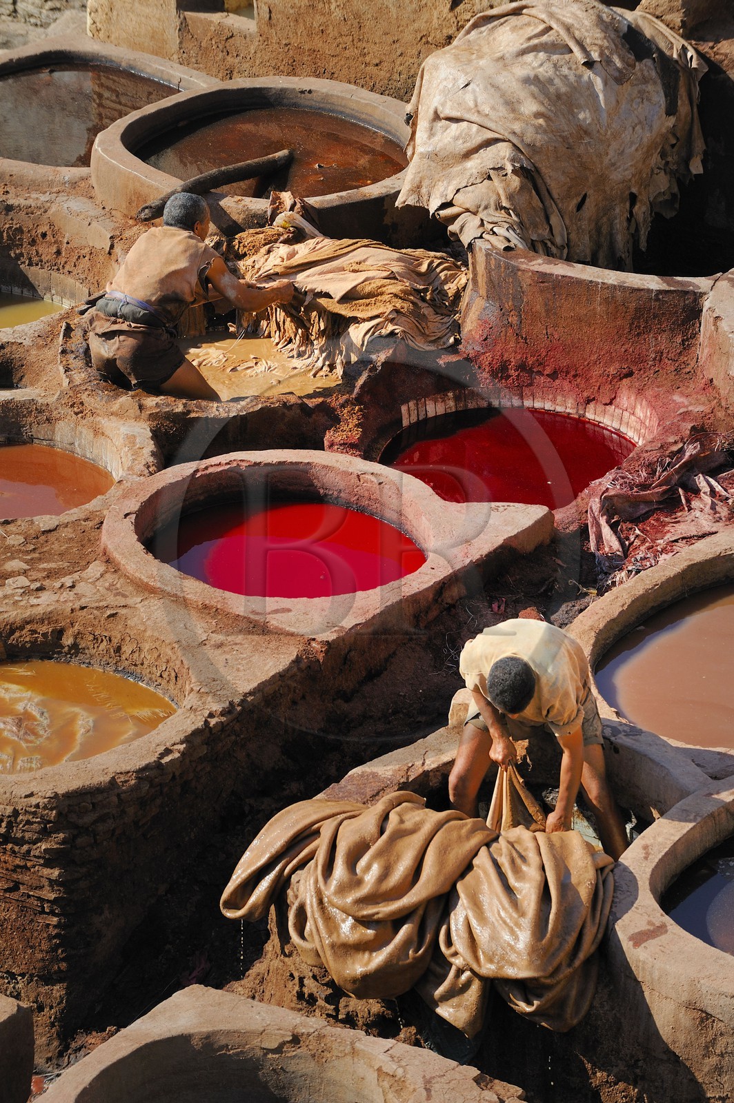 Maroc, Moyen Atlas, Fès, ville impériale, médina classée Patrimoine Mondial de l'UNESCO, Fès el Bali, quartier des tanneurs, Chouara