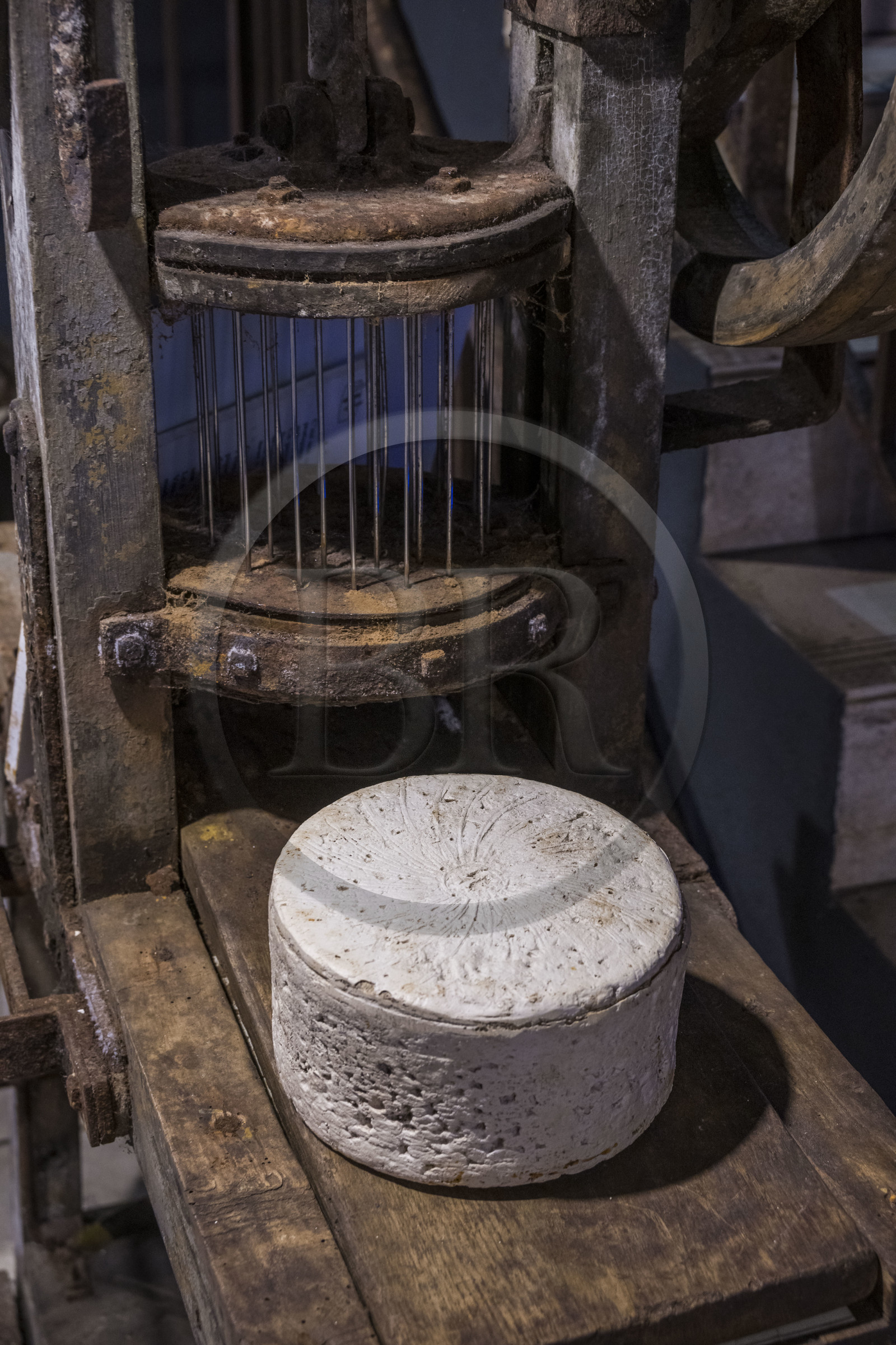 France, Aveyron (12), parc naturel régional des Grands-Causses, Roquefort-sur-Soulzon, reconstitution de la cave d'affinage du fromage de Roquefort de la marque Gabriel Coulet