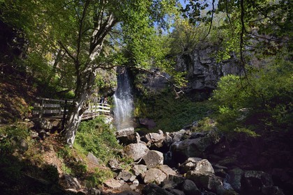 France, Cantal (15), Parc Naturel Régional des Volcans d’Auvergne, vallée de Brezons, hameau de Sanissage, la cascade du Saut de la Truite