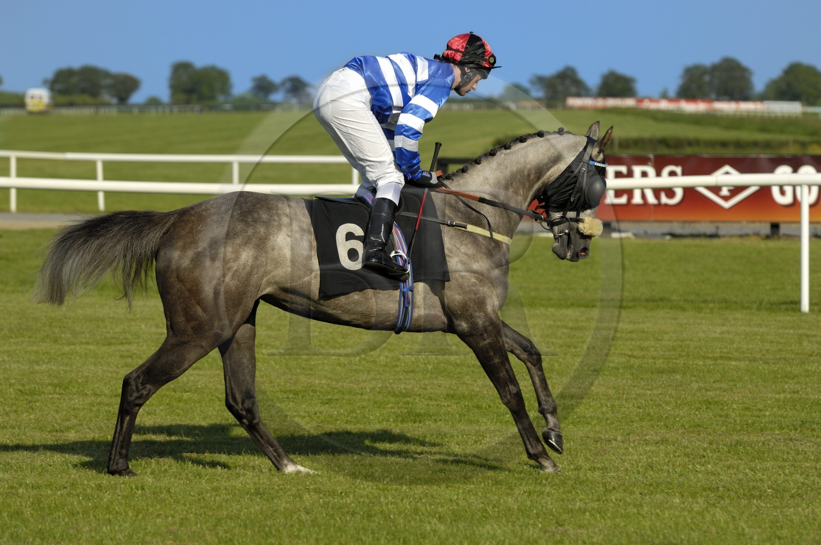 Republic of Ireland, County Meath, Ratoath, Fairyhouse racecourse, horse race