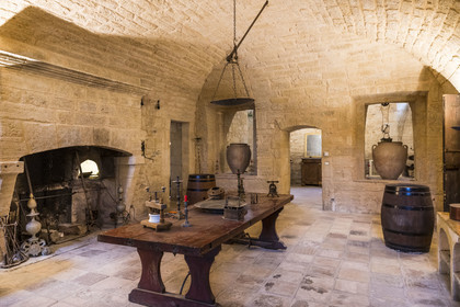 France, Herault, Lavérune, Chateau de l'Engarran, private mansion from the second half of the 18th century called Montpellier Folie, the old kitchen in the basement