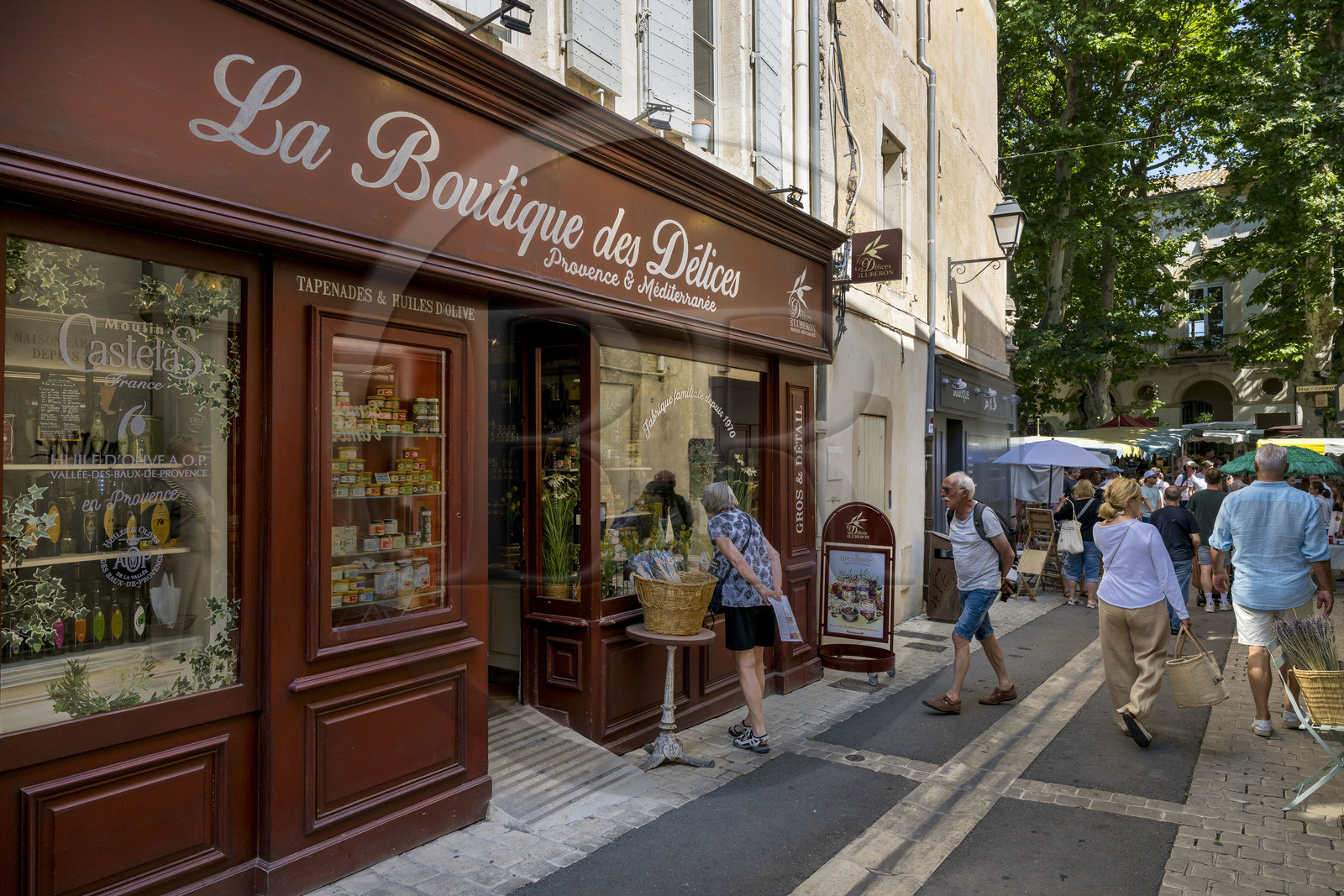 France, Bouches du Rhone, Regional Natural Park of the Alpilles, Saint Remy de Provence, shop window in the rue de la Commune which leads to the Hotel de Ville