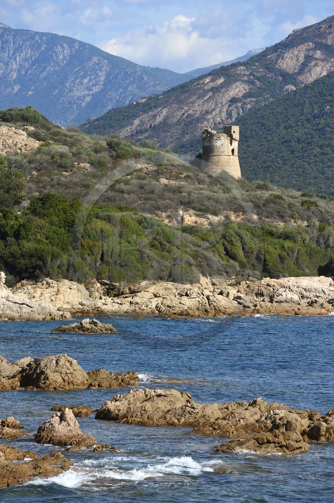 France, Corse-du-Sud (2A), la Tour génoise de Sagone