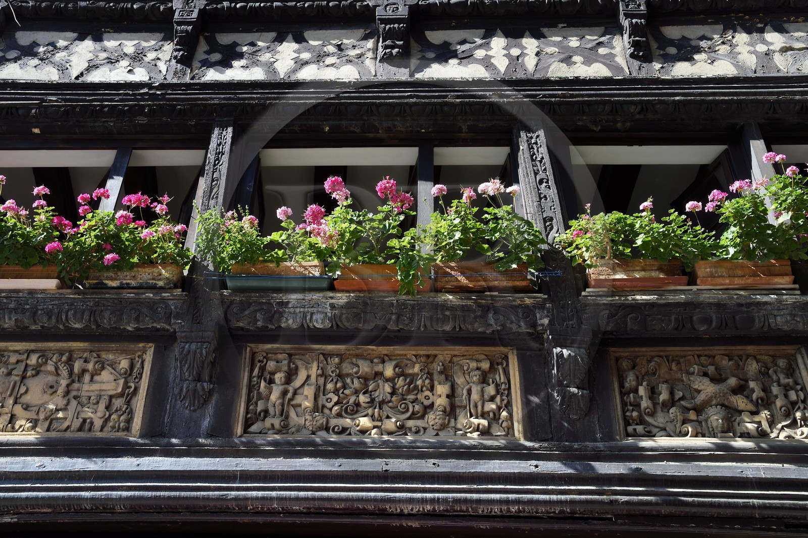 France, Bas-Rhin (67), Strasbourg, vieille ville classée Patrimoine Mondial de l'UNESCO, maison traditionnelle à pans de bois au 23 rue des Tonneliers, restaurant Le Pigeon