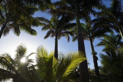France, Ile de la Reunion, Petite-Ile sur la côte sud, plage de Grand-Anse