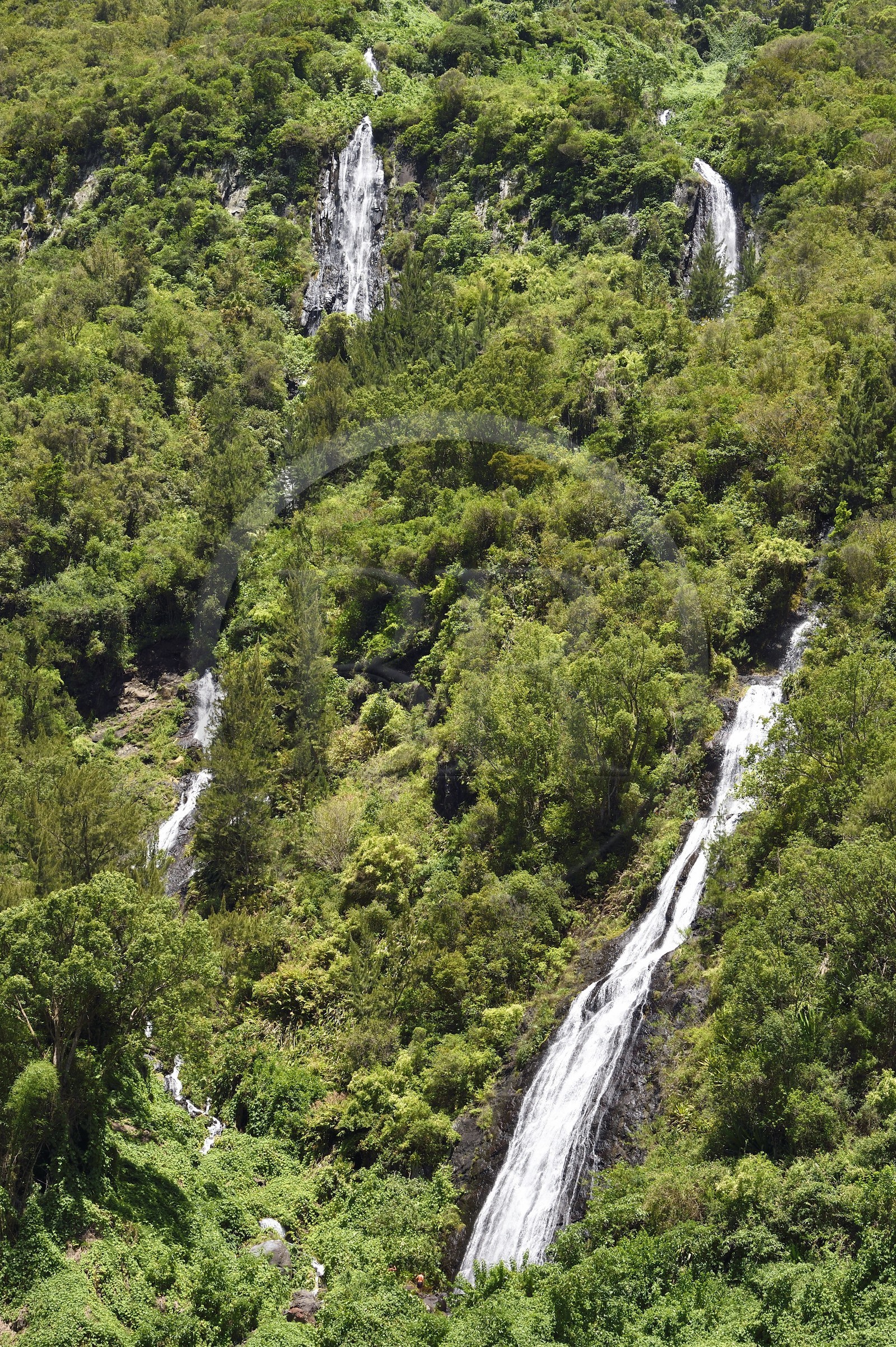 France, Ile de la Reunion, Cirque de Salazie, classé Patrimoine Mondial de l'UNESCO, cascade du Voile de la Mariée