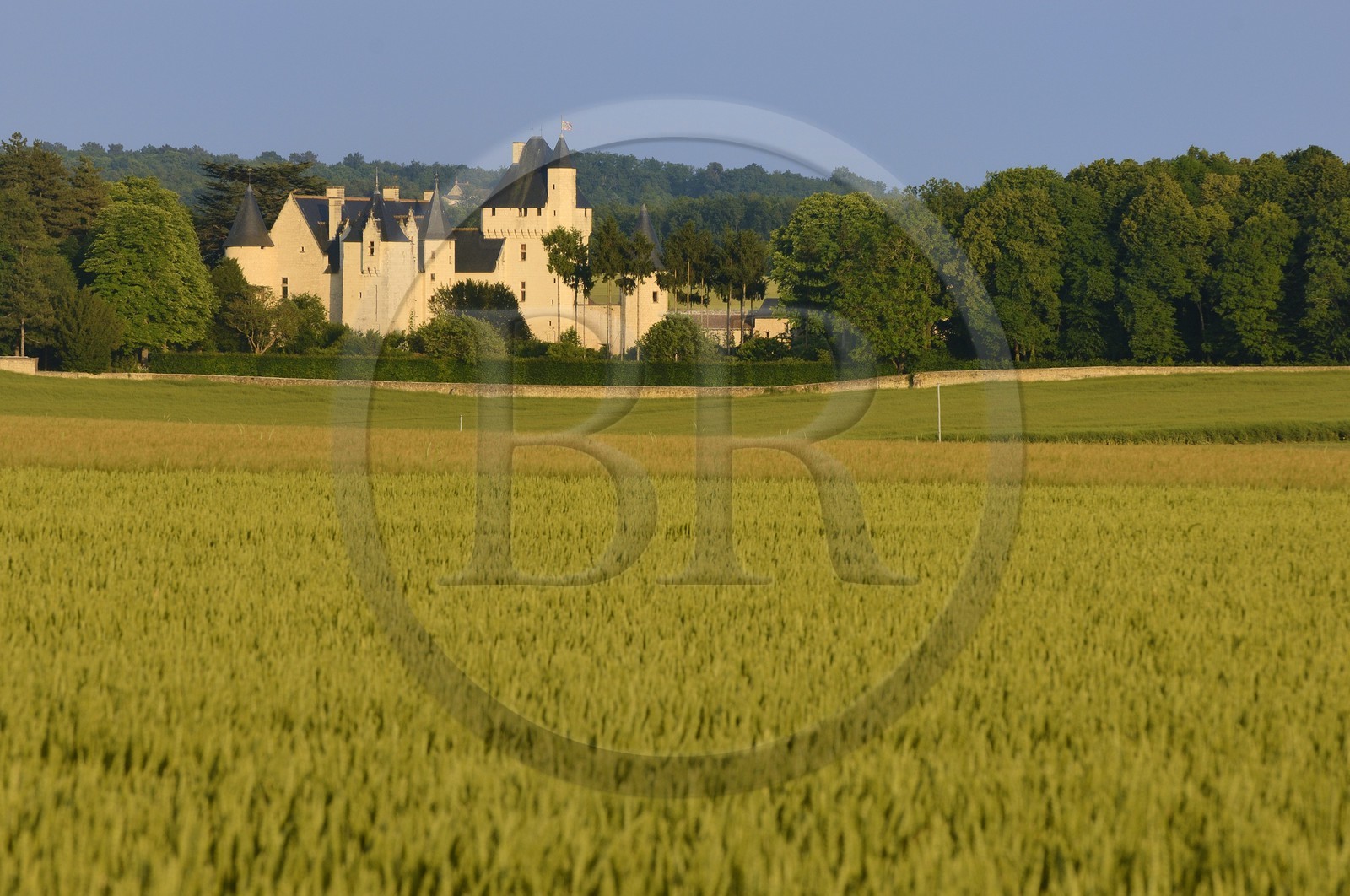 France, Indre et Loire (37), château du Rivau