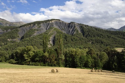 France, Alpes-de-Haute-Provence (04), vallée de l'Ubaye entre Jausiers et Barcelonnette