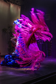 Espagne, Catalogne, Barcelone, City Hall Barcelona, spectacle de danse Flamenco