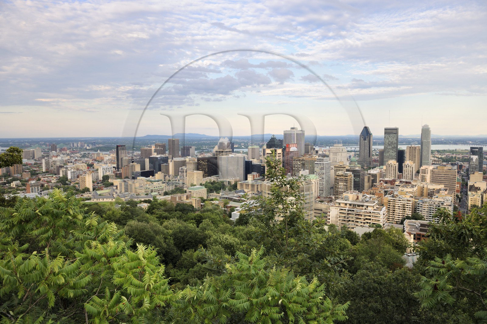 Canada, Quebec, Montreal seen from the Mont-Royal park