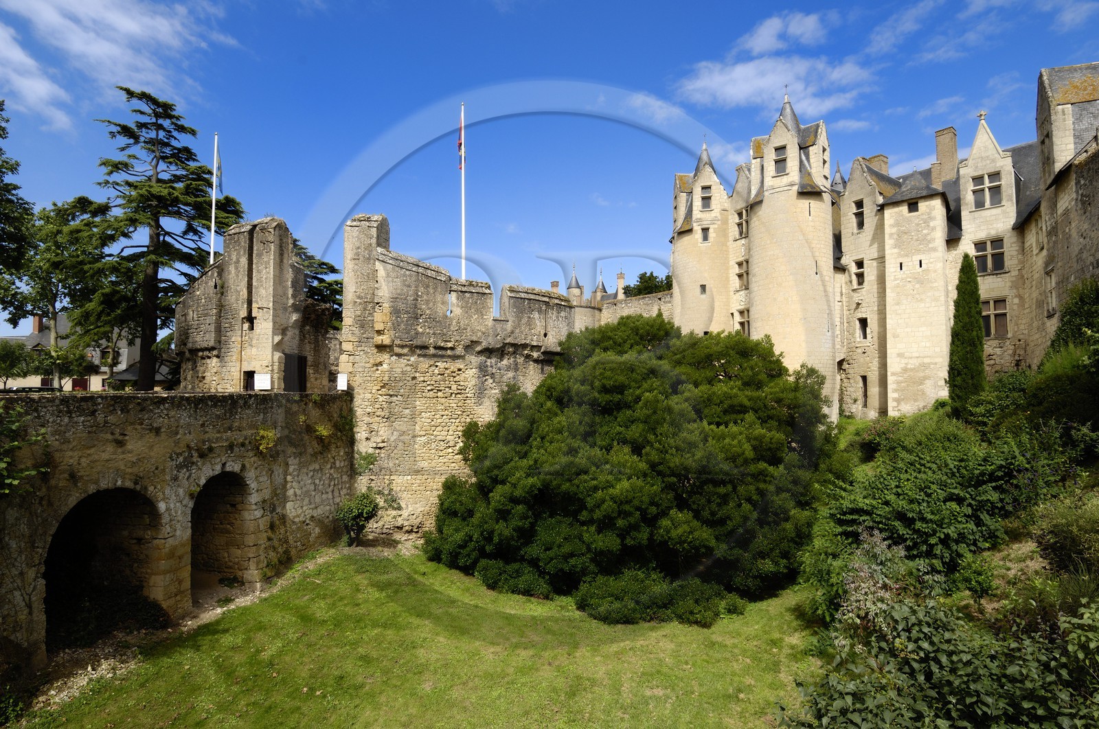 France, Maine et Loire (49), château de Montreuil-Bellay