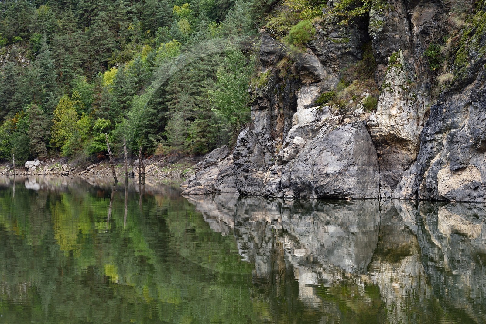 France, Cantal (15), Gorges de la Truyère, Chaliers, la rivière Truyère en amont du viaduc de Garabit, troncs d'arbres morts vestiges de la foret noyée