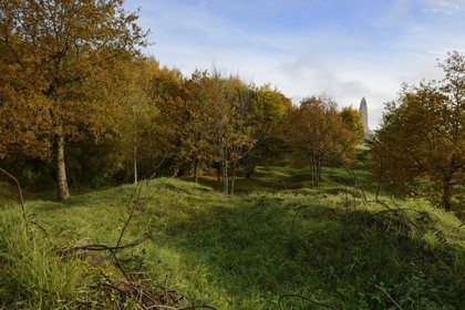France, Meuse, Douaumont, landscape marked by shell holes still a century after the battle of Verdun, ouvrage Thiaumont along the ossuary of Douaumont