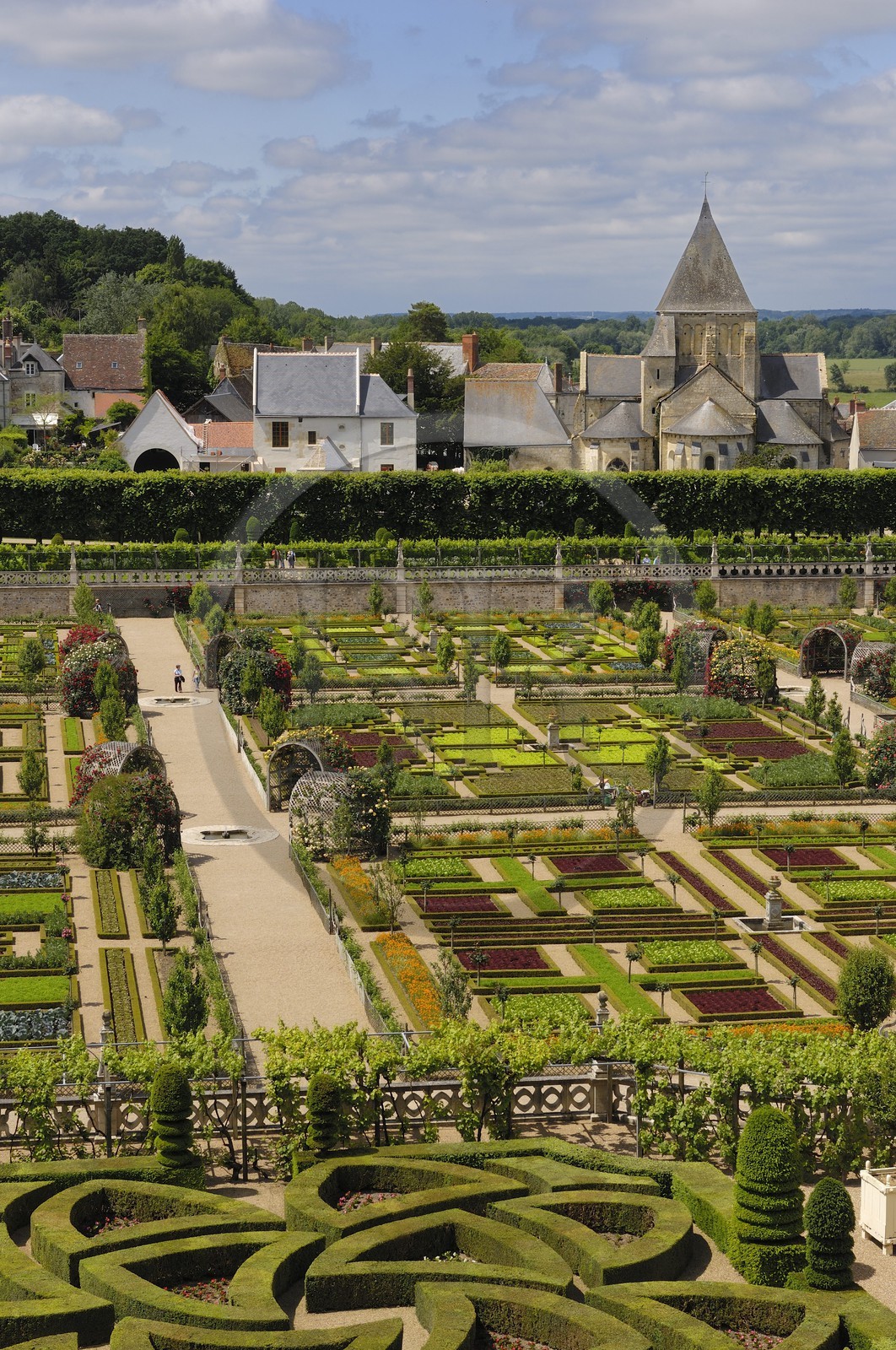 France, Indre et Loire, Loire Valley listed as World Heritage by UNESCO, Chateau de Villandry owned by Henry and Angelica Carvallo, formal gardens (jardins à la française)
