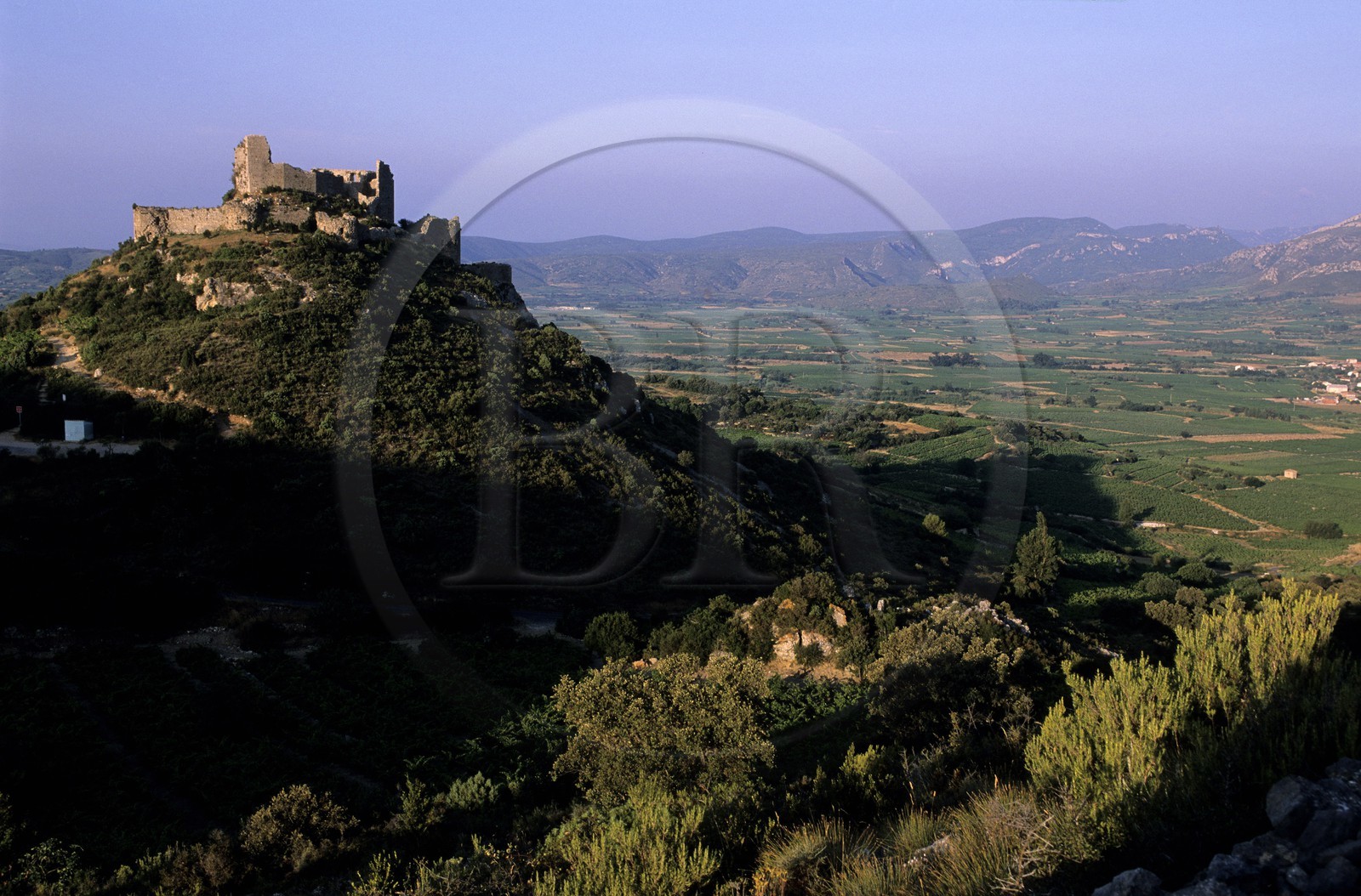 France, Aude, Cathar castle of Aguillar ruins overlooking Tuchan vineyard in the heart of Corbieres