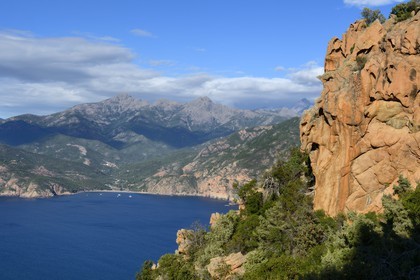 France, Corse-du-Sud (2A), Golfe de Porto, classé Patrimoine Mondial de l'UNESCO, calanches de Piana aux rochers de granit rose le long du chemin dit du Chateau-Fort et la plage de Bussaglia en arrière plan