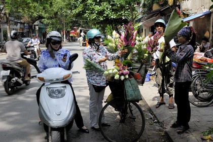 . Vietnam, Hanoi, old city, lotus flowers seller on bicycle