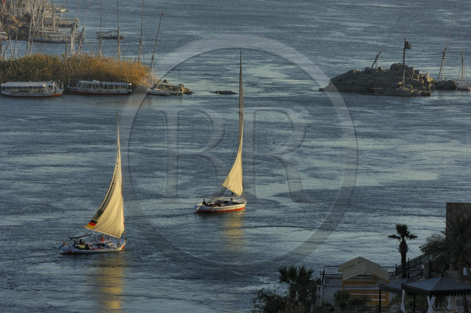 Egypte, Haute Egypte, vallée du Nil, Assouan, felouque sur le Nil