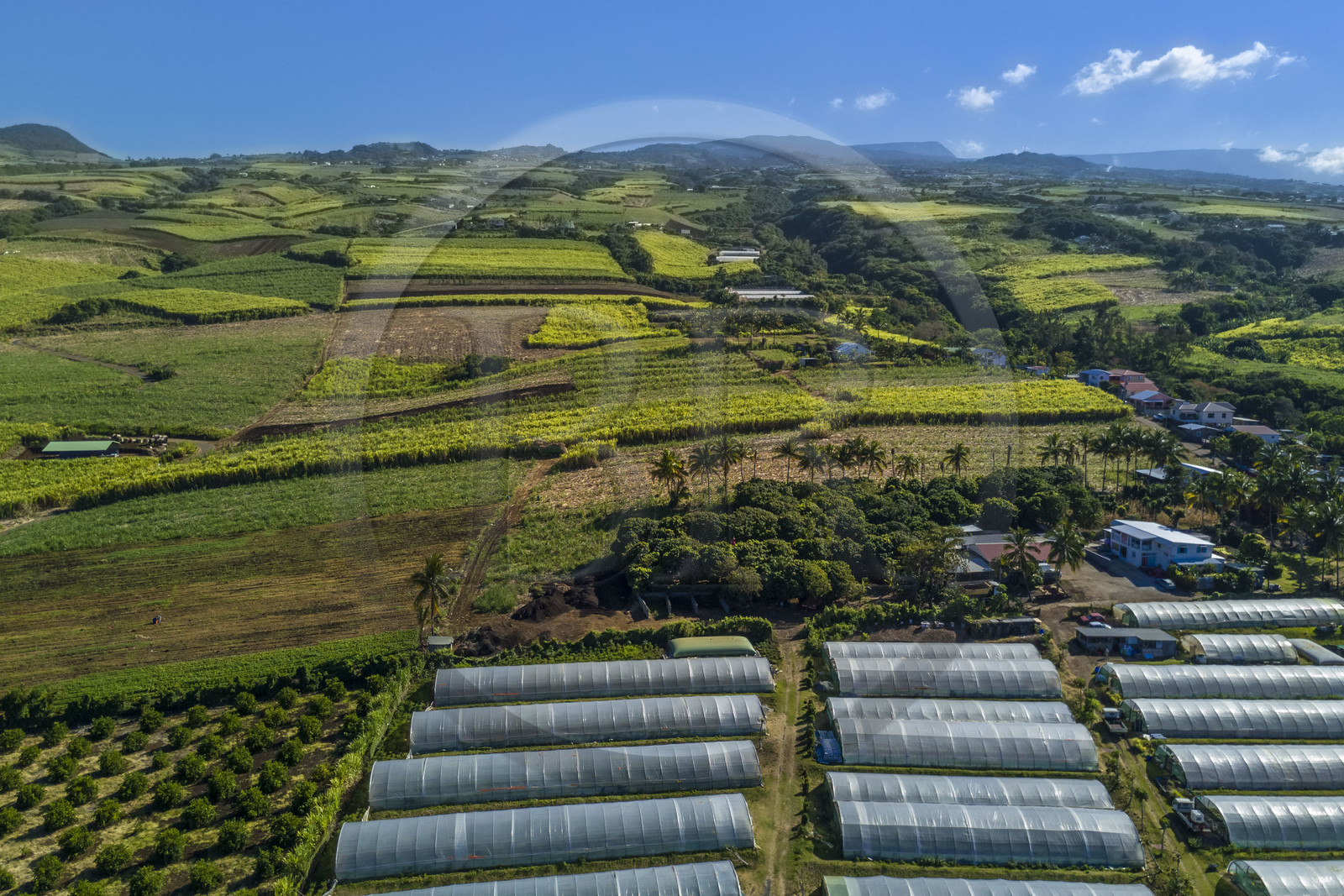 France, Ile de la Reunion, Petite-Ile, serres et champs de canne à sucre sur les pentes du volcan Piton de la fournaise (vue aérienne)