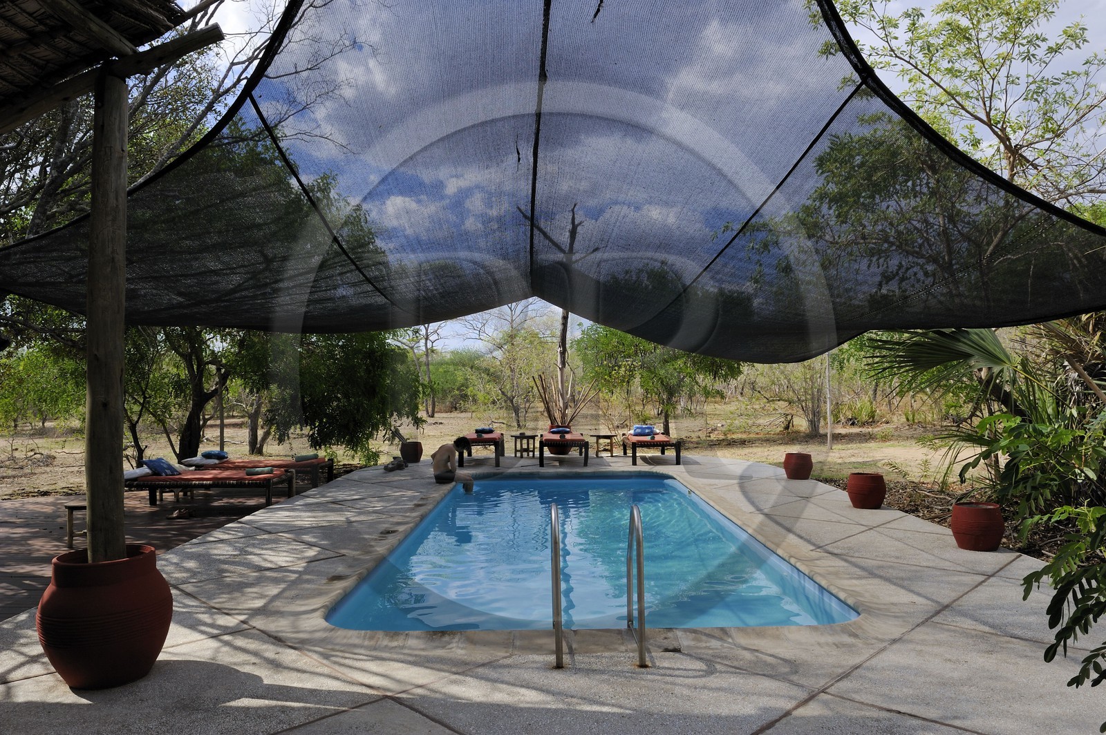 Tanzanie, Reserve de gibier de Selous une des plus grandes zones protégées au monde et inscrite sur la liste du patrimoine mondial de l’Unesco depuis 1982, la piscine du très exclusif Selous Camp