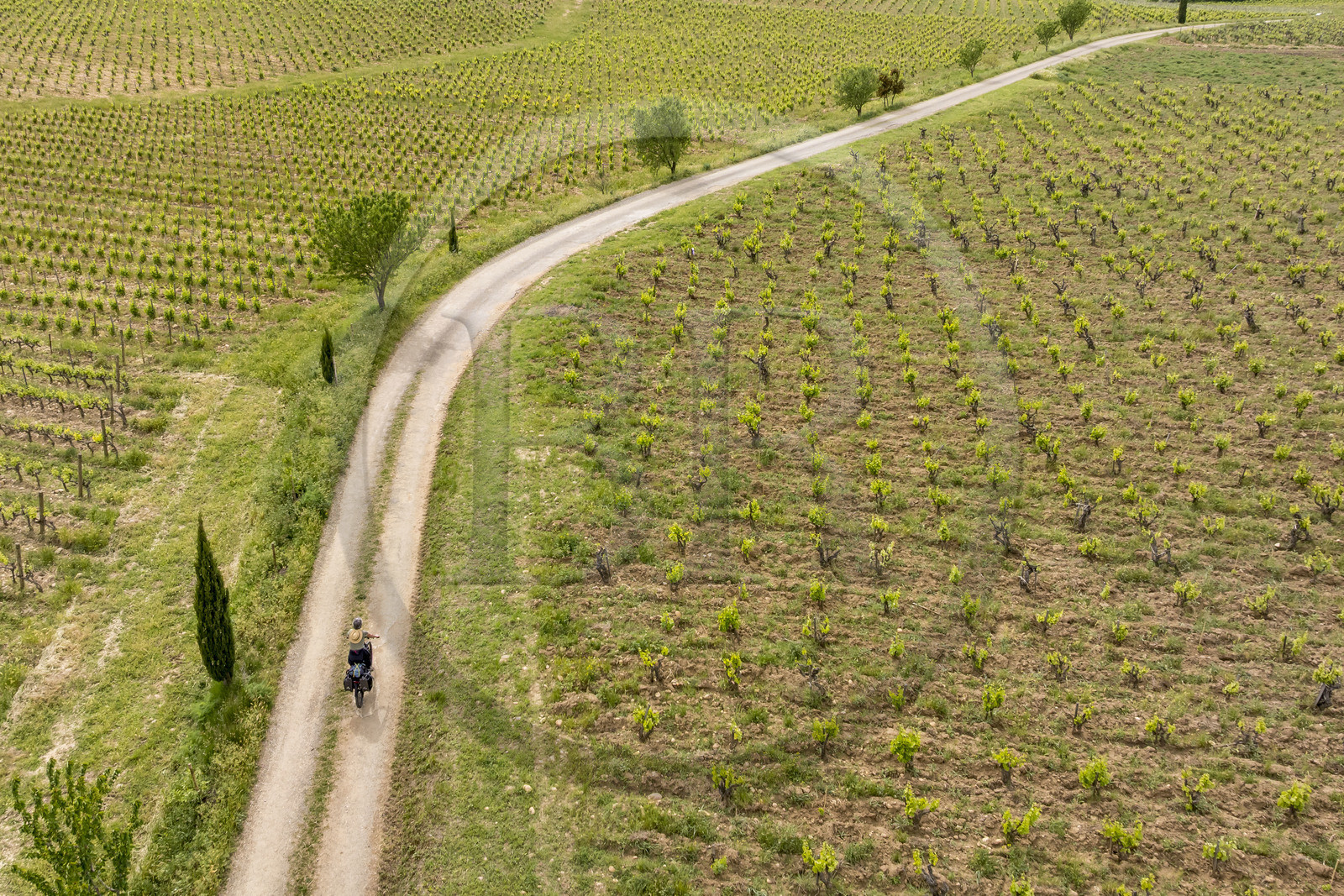 France, Vaucluse (84), Châteauneuf-du-Pape, randonnée à vélo sur le chemin Coste Froide sur le plateau de la Crau (vue aérienne)