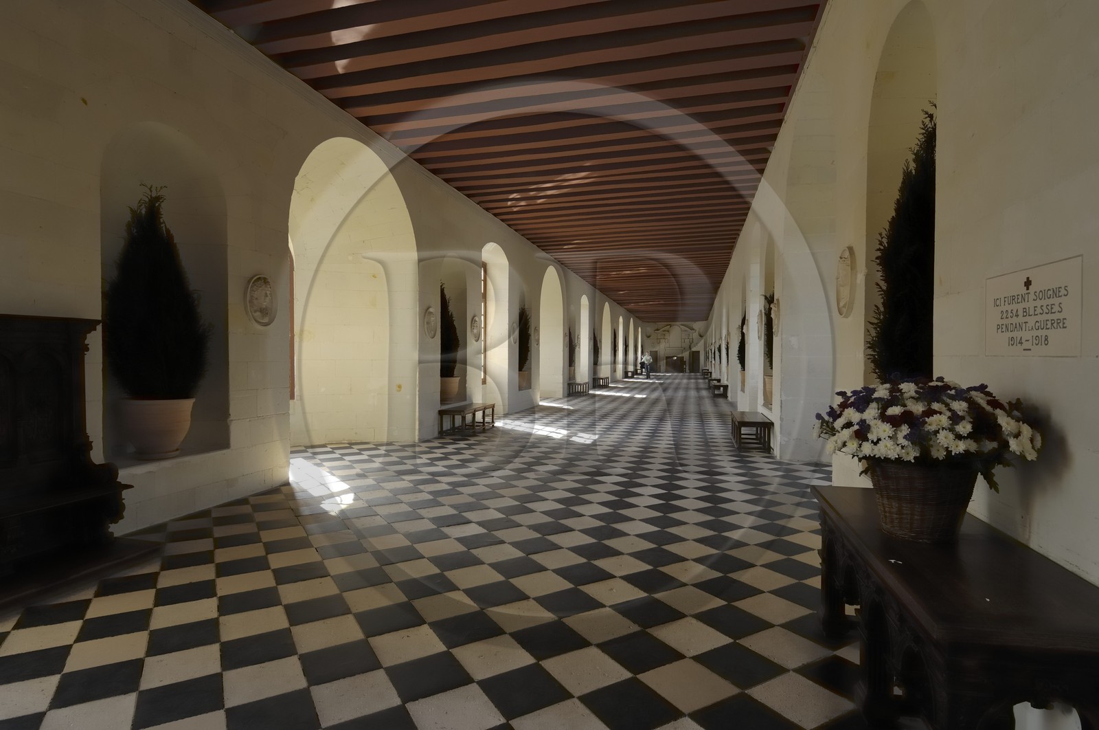 France, Indre-et-Loire (37), château de Chenonceau, la grande galerie