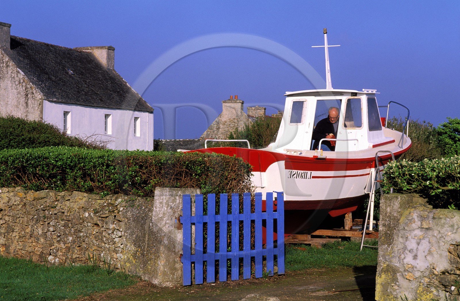 France, Finistere, Ouessant island, boat put away for the winter in a garden