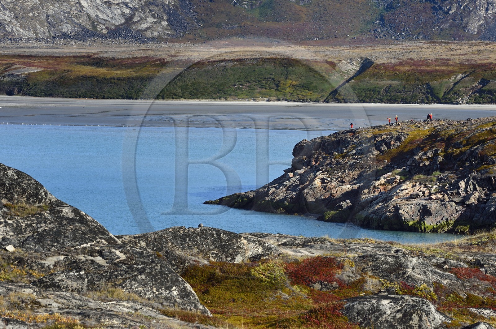 Groenland, cote ouest, baie de Disko, randonneurs sur une ile de la baie de Quervain