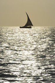 Tanzanie, archipel de Zanzibar, île de Unguja (Zanzibar), côte ouest, un dhow (boutre traditionnel)
