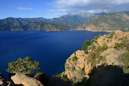 France, Corse du Sud, Golfe de Porto, listed as World Heritage by UNESCO,  the Creeks of Piana (Calanches de Piana) with pink granite rocks