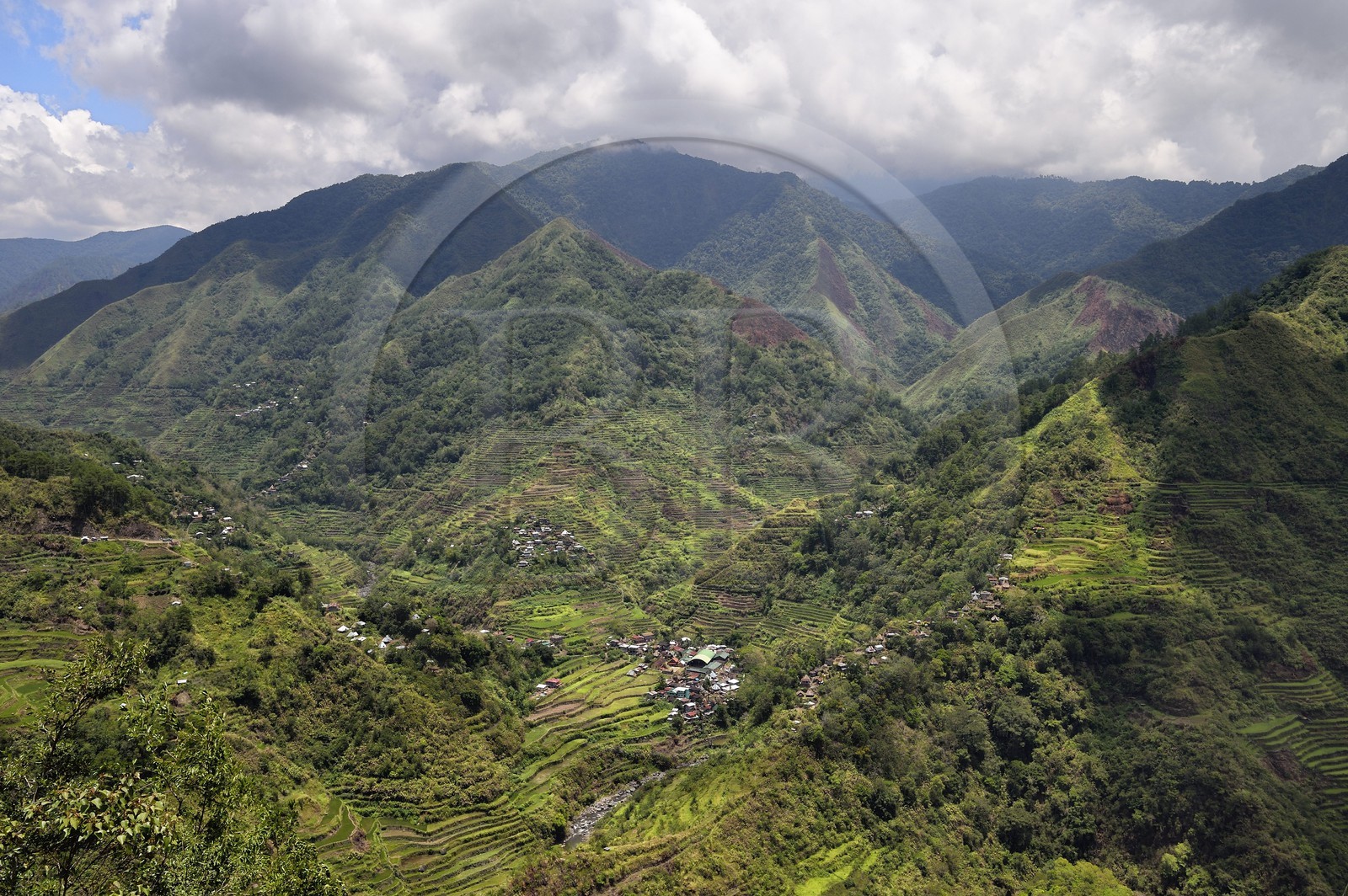 Philippines, province d'Ifugao, les rizières en terrasses de Banaue, classées Patrimoine Mondial de l'UNESCO, alimentées par un ancien système d'irrigation depuis la forêt tropicale au-dessus des terrasses et le village de Cambulo