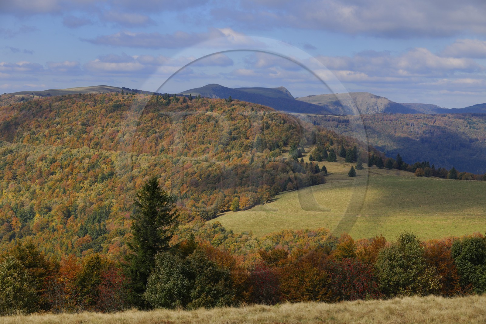 France, Haut-Rhin (68), la route des Crêtes, vue vers le Hohneck à la hauteur du col d'Hahnenbrunnen