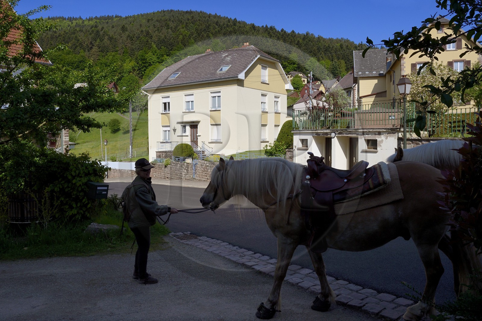 France, Bas-Rhin (67), Wangenbourg-Engenthal, le colonel De Gaulle a vécu durant huit mois dans cette maison de septembre 1939 à mai 1940