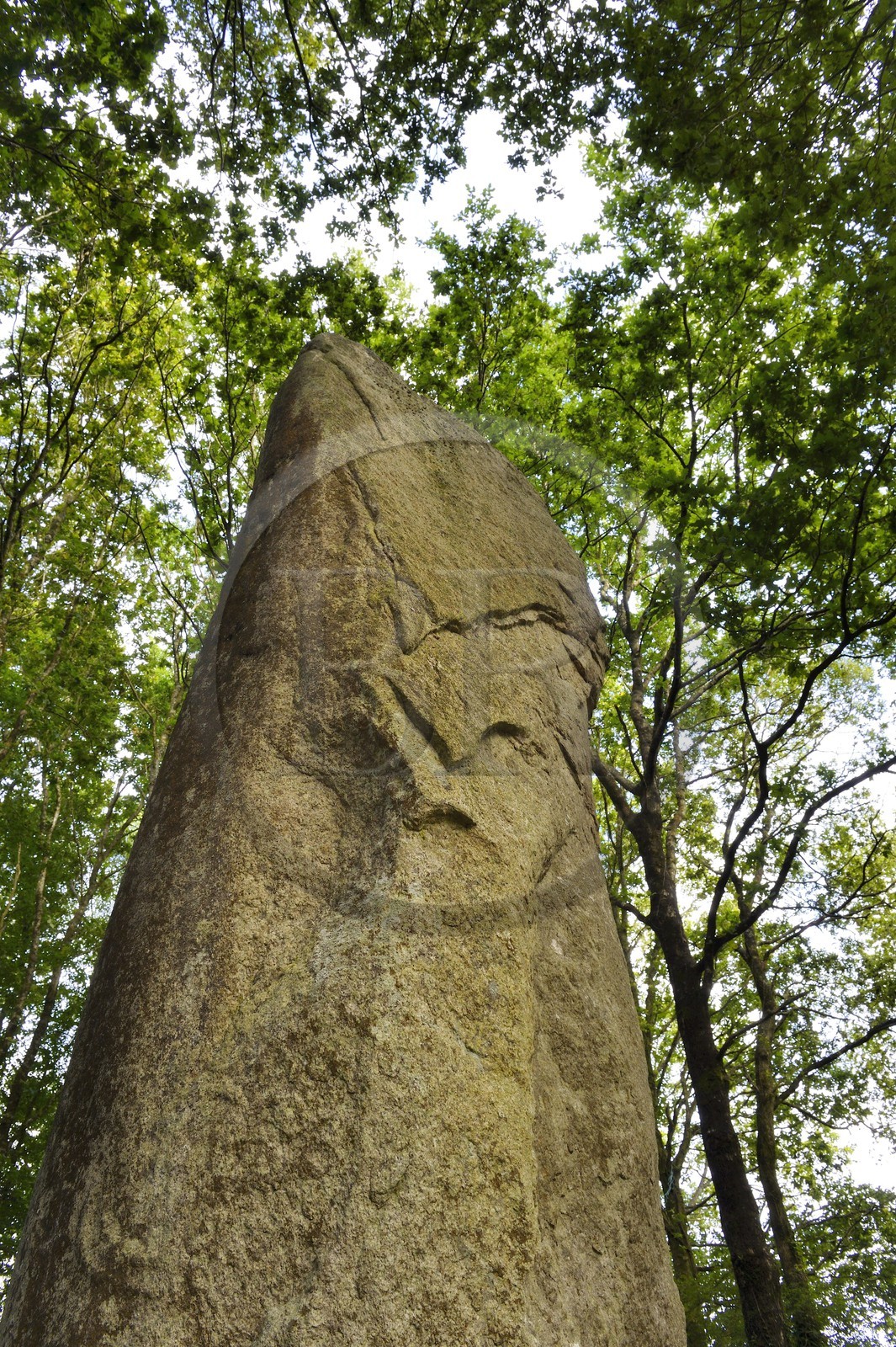 France, Morbihan, Moustoir-Ac, Kermarquer la Lande Menhir