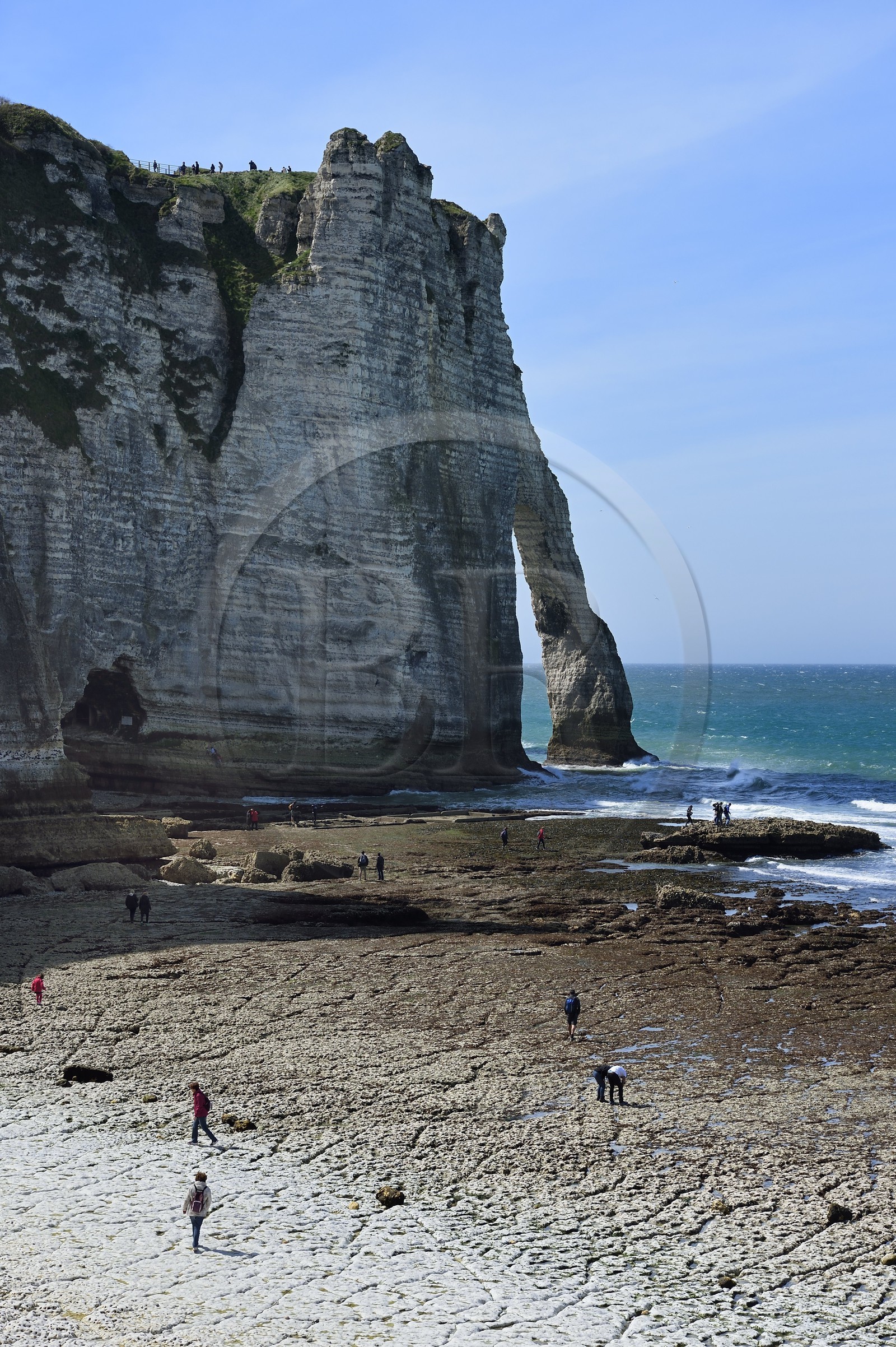 France, Seine-Maritime, Pays de Caux, Alabaster Coast (Cote d'Albatre), Etretat, the Aval cliff arch and the beach of the town