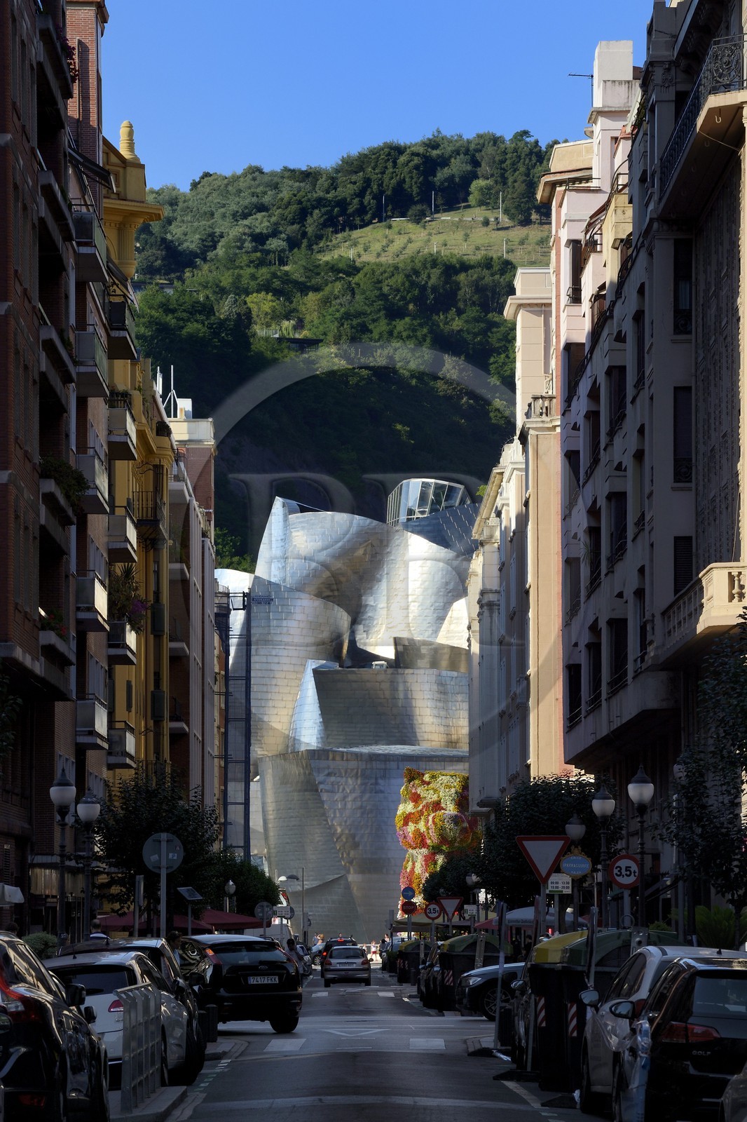 Espagne, Biscaye, Pays Basque espagnol, Bilbao, le musée Guggenheim de l'architecte Frank Gehry au bout de la rue Elcano Kalea