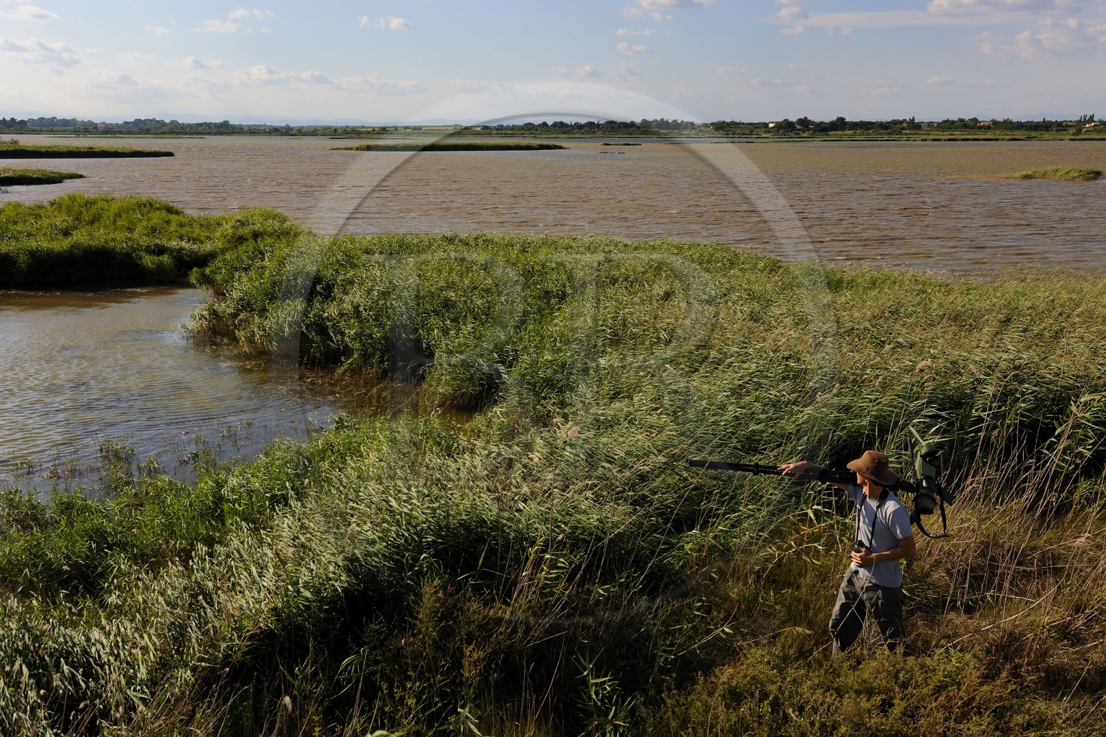France, Hérault (34), région du Cap d'Agde, la Réserve Naturelle Nationale du Bagnas à l’ouest de l’étang de Thau