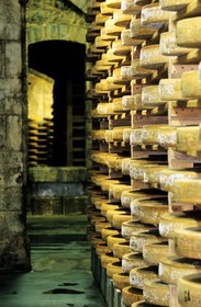 France, Doubs, Fort Saint Antoine, Comte mountain cheese maturing cellar
