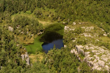 Norvège, Rogaland, région du Lysefjord, chemin de randonnée menant au Rocher de La Chaire (Preikestolen)