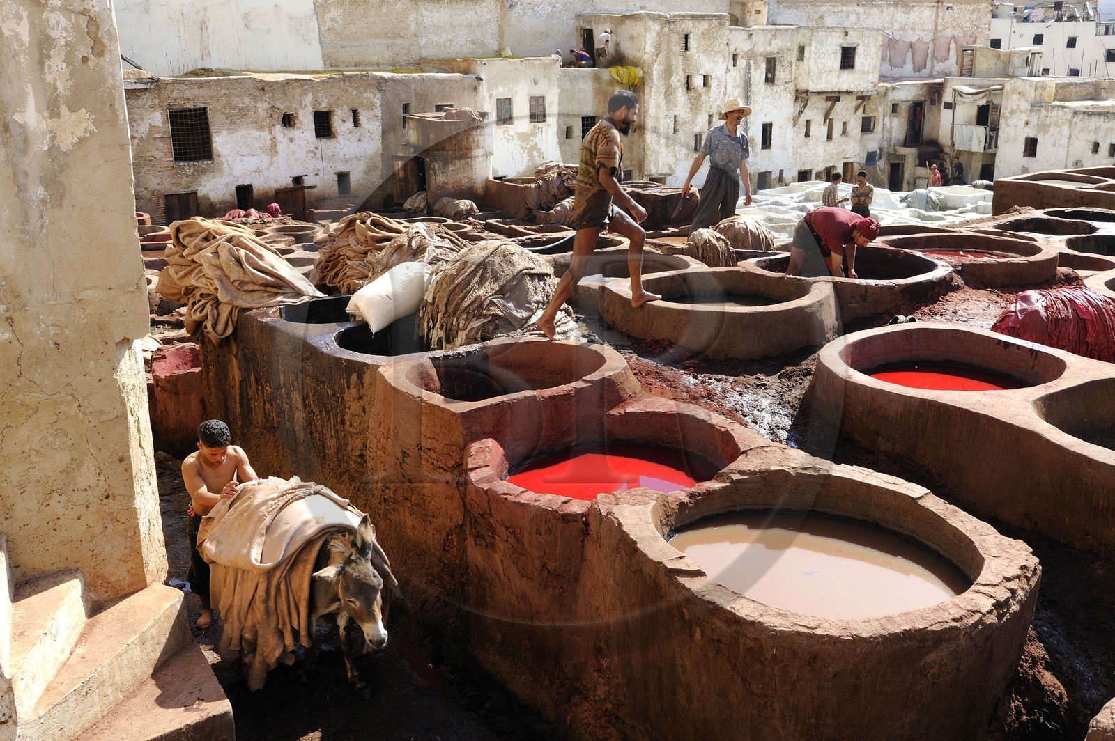 Morocco, Middle Atlas, Fez, Imperial City, Fez El Bali, medina listed as World Heritage by UNESCO, Chouara, tanners of the tannery district