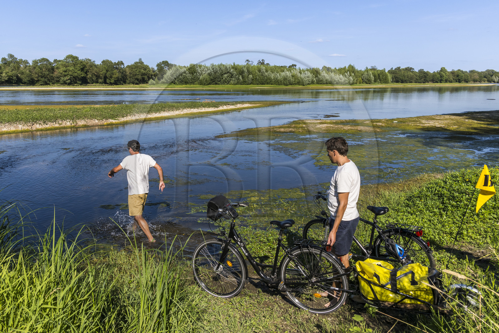 France, Maine-et-Loire, Loire valley listed as World Heritage by UNESCO, Saumur towards Saint-Hilaire, sandbanks forming islands on the Loire, cycling on the banks of the Loire