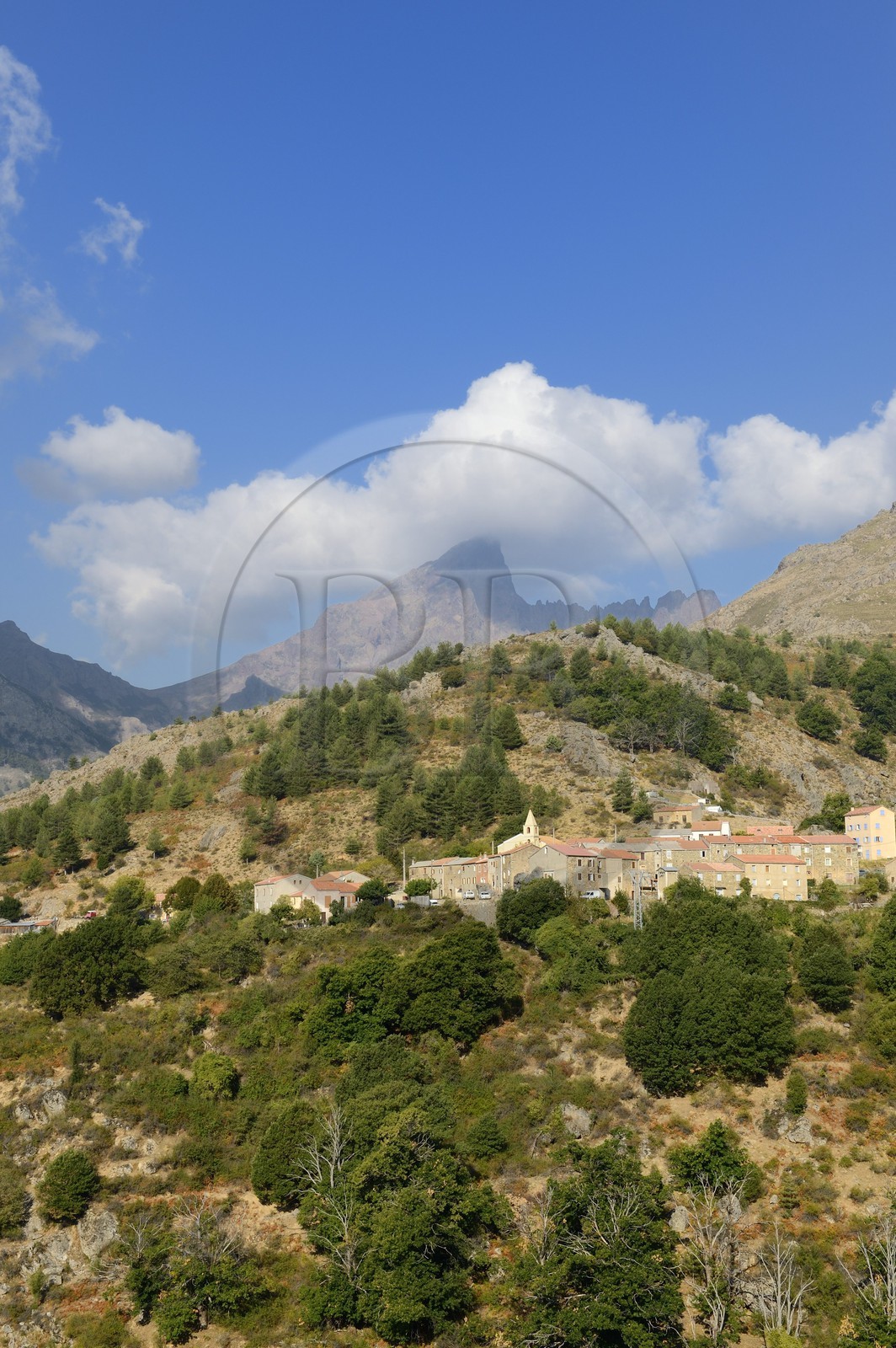 France, Haute Corse, Niolu (Niolo) region, Calasima highest village in Corsica (1 095m) at the foot of the Paglia Orba mountain shaped as a shark fin