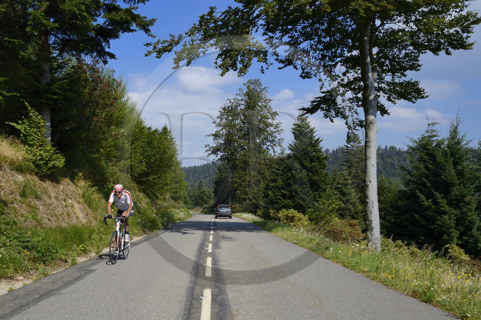 France, Loire, Parc Naturel Regional du Pilat (Natural Regional Park of Pilat),