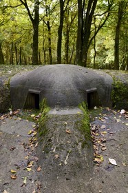 France, Meuse, Douaumont region, battle of Verdun, the Fort de Souville, the Pamard pillbox