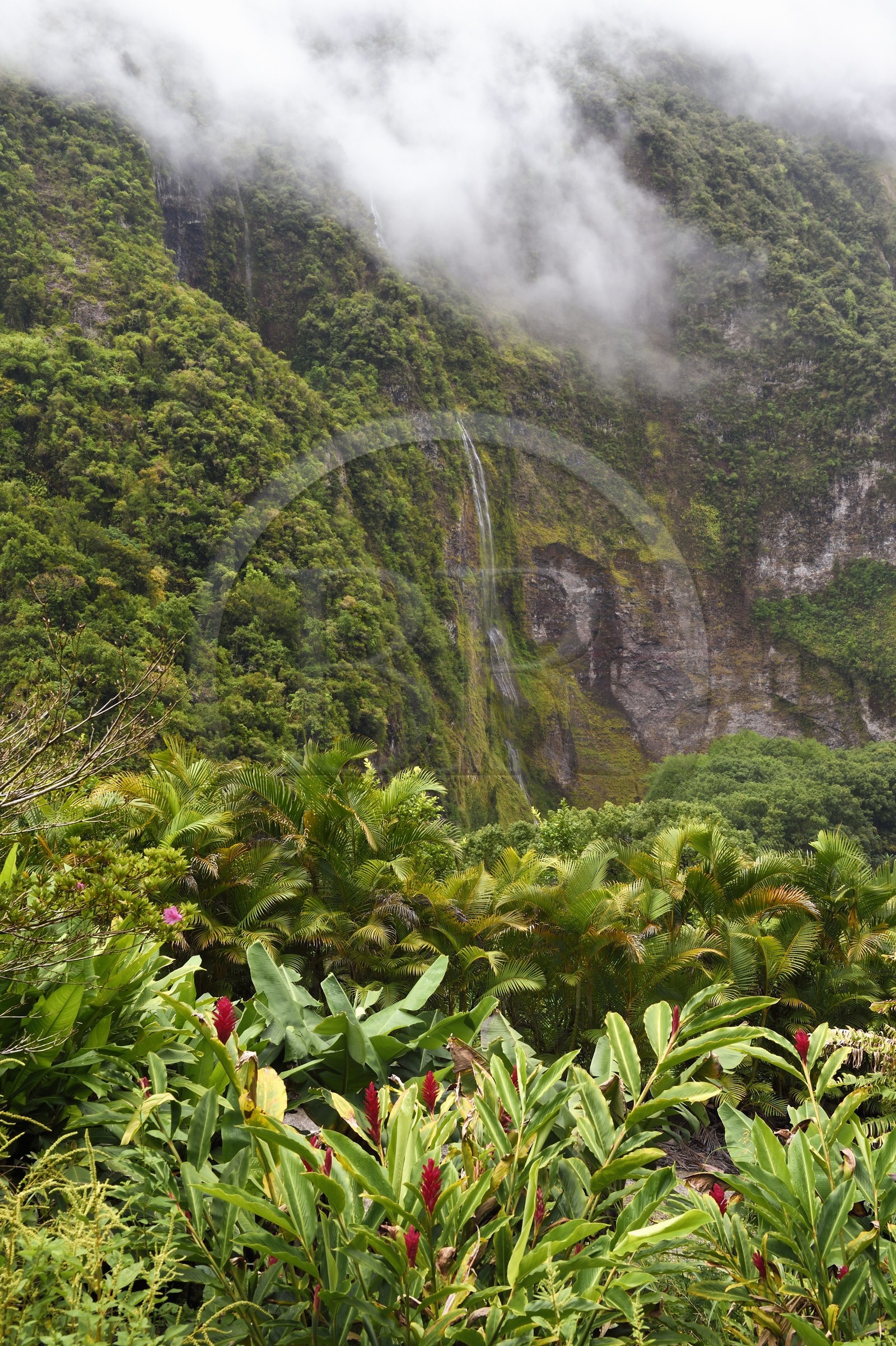 France, Ile de la Reunion, Cirque de Salazie, classé Patrimoine Mondial de l'UNESCO, entrée du cirque à la Rivière du Mat