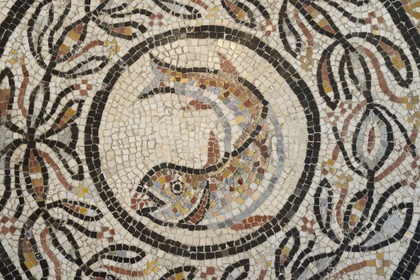 France, Rhône (69), Lyon, site historique classé Patrimoine Mondial de l'UNESCO, colline de Fourvière, musée gallo-romain de Fourvière, la mosaïque de Choulans