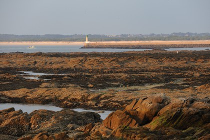 France, Loire-Atlantique (44), Le Croisic, la côte sauvage